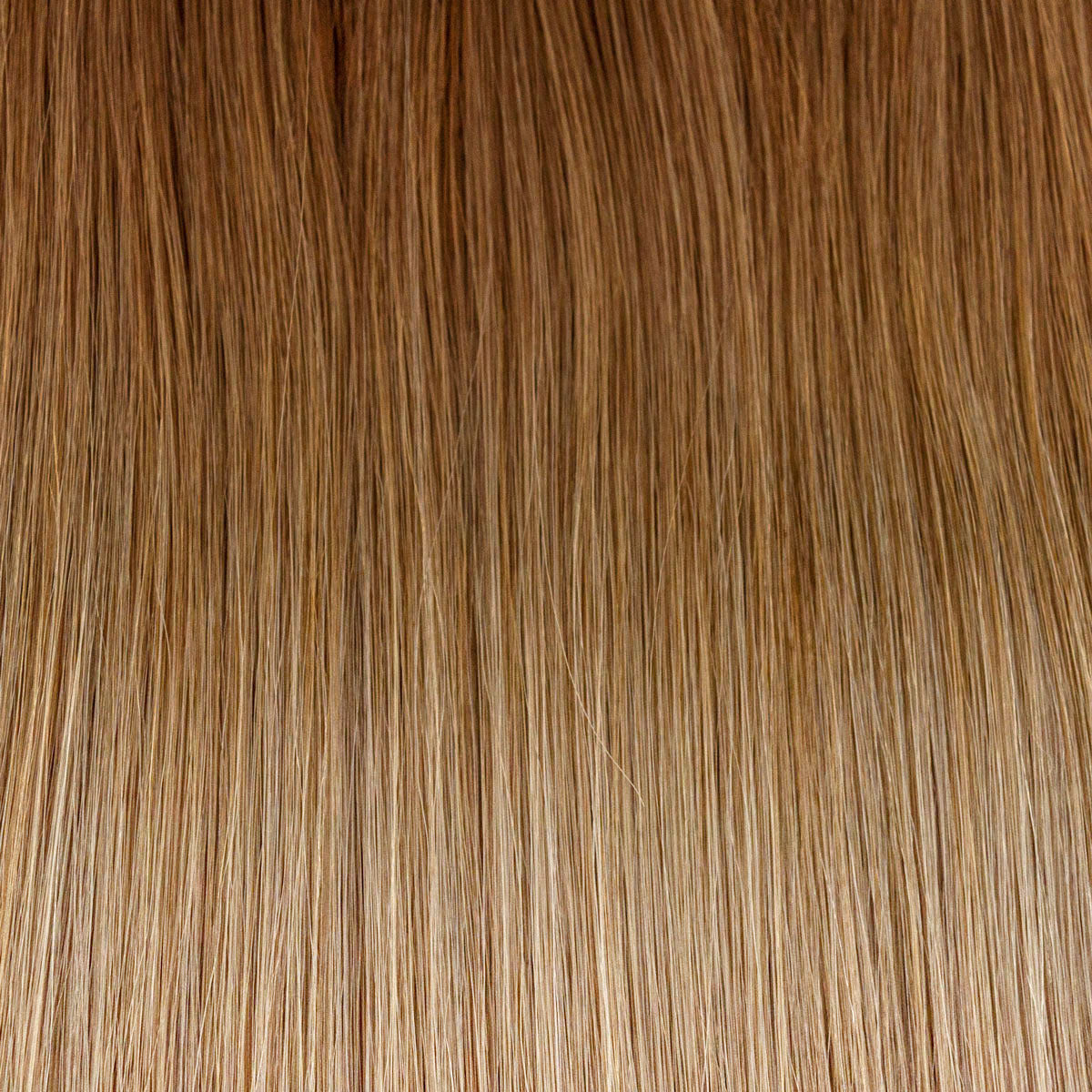 Bonding extensions 60cm ombré #10/18